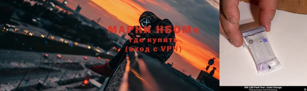 амф Приозерск