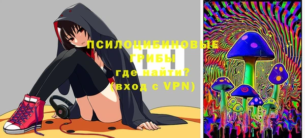амф Приозерск
