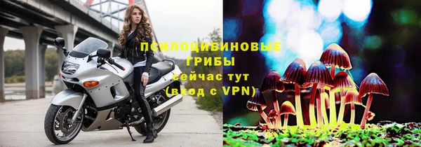 ешки Абдулино