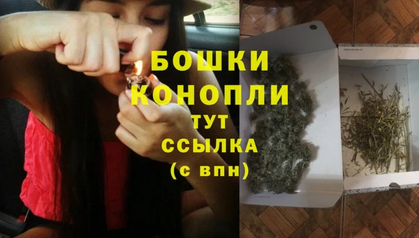 прущие грибы Пролетарск