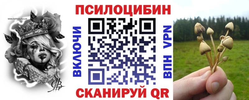 Галлюциногенные грибы MAGIC MUSHROOMS  Вытегра 