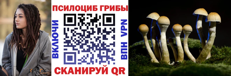 Псилоцибиновые грибы GOLDEN TEACHER Вытегра
